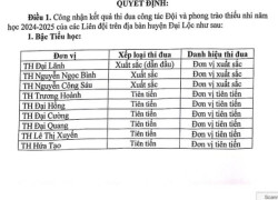 Liên đội Trường THCS Nguyễn Trãi đạt danh hiệu LIÊN ĐỘI XUẤT SẮC DẪN ĐẦU Cấp THCS năm học 2024-2025